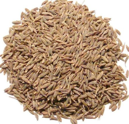 Cumin Essential Oil 5